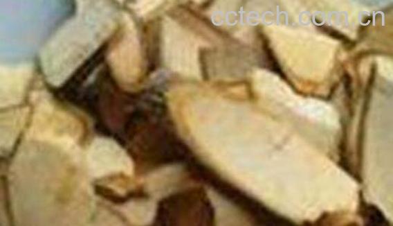 水杨梅根的功效与作用 水杨梅根的药用价值-1