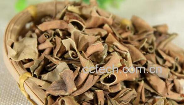 石背柳的功效与作用-1