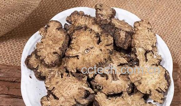 川芎的功效与作用 川芎的禁忌-1