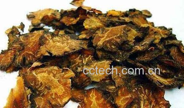 川芎的功效与作用 川芎的禁忌-0