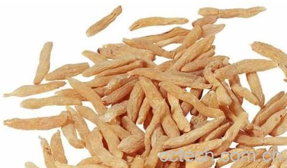 土麦冬和麦冬的区别 麦冬的功效与作用-1