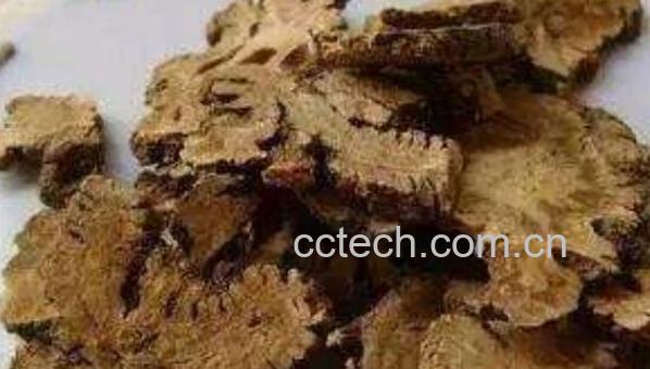 川芎泡水喝的功效与作用-0