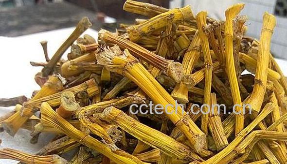 山黄草的功效与作用-1