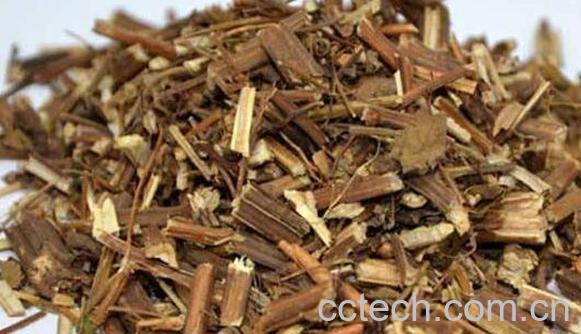 溪黄草的功效与作用 溪黄草的禁忌-0