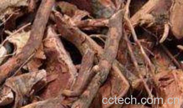 桃金娘根的功效与作用-0