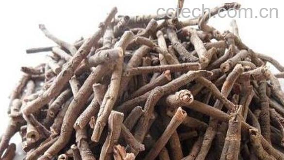 牡丹根泡水喝的功效与作用-1