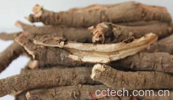 牡丹根泡水喝的功效与作用-0