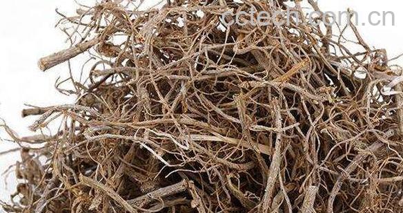 田七须的功效与作用-0