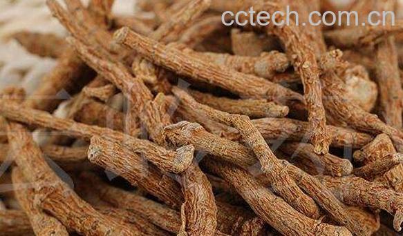 田七根有什么功效和作用-0