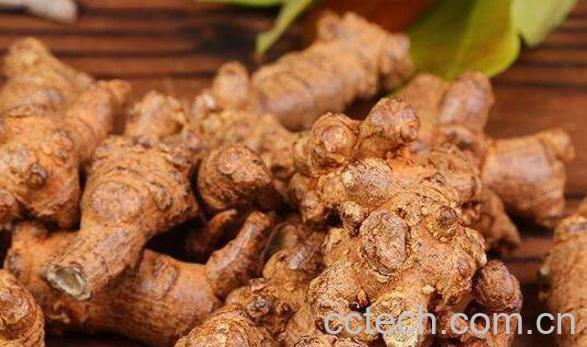 田七根有什么功效和作用-1