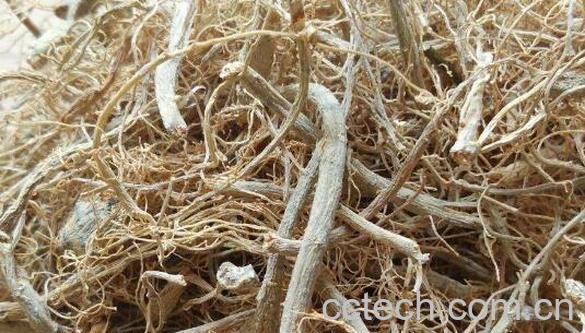 三七根须怎么吃 三七根须的正确吃法-0