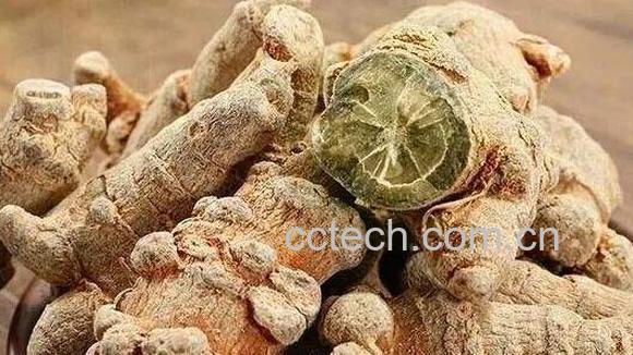 三七根的功效与禁忌-0