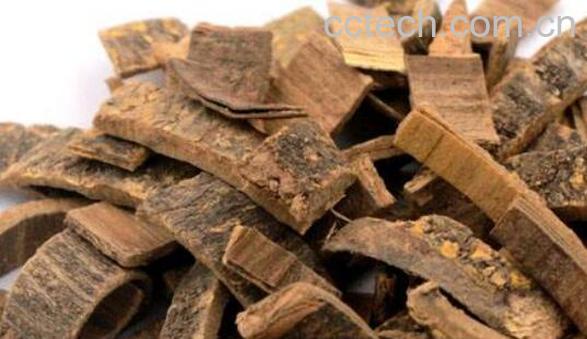 苦连树皮的功效与作用-1