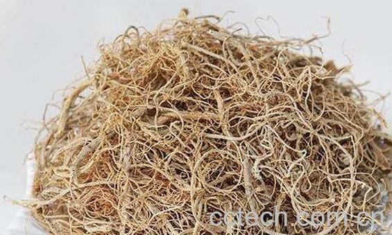 三七须根的功效与作用-0