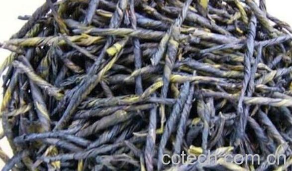 野生苦丁的功效与作用-0