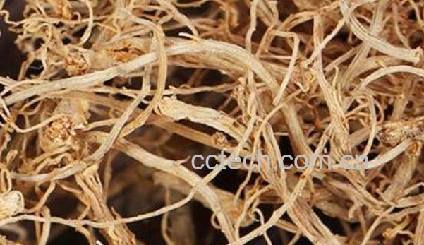 田七根的功效与作用-1