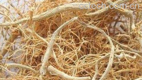 田七根的功效与作用-0