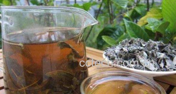 蒲公英根泡水喝的功效 蒲公英根怎么泡水-1