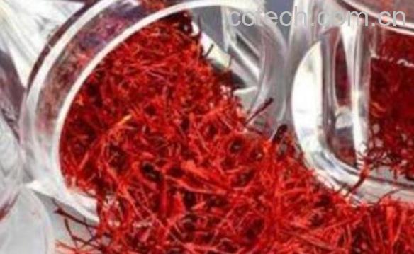 藏红花泡水喝的功效有哪些-0