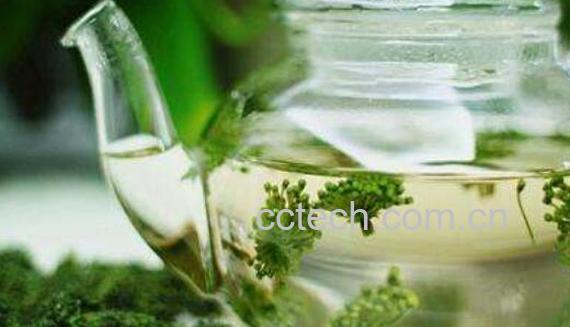 三七花泡水喝的功效-1