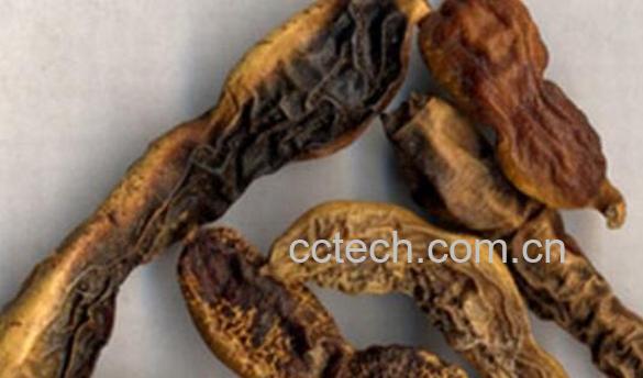 槐角泡水喝的功效与作用-0