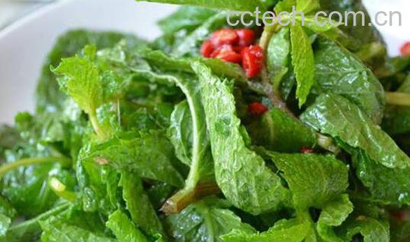 荆芥怎么吃 荆芥的吃法大全-1