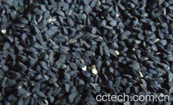 黑种草子的功效和作用-0