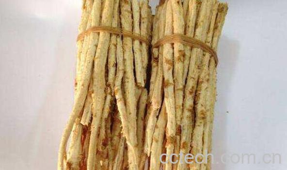 肉竹根的功效与作用-0