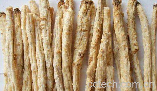 沙参肉竹的功效与作用-0