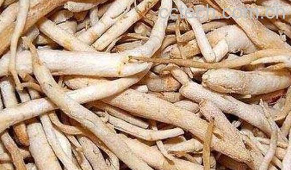 竹母肉的功效与作用-0