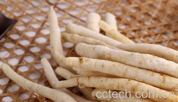 竹母肉的功效与作用-1