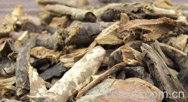 茴香根皮的功效和作用-0