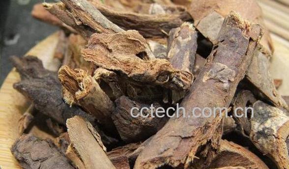 茴香根皮的功效和作用-1