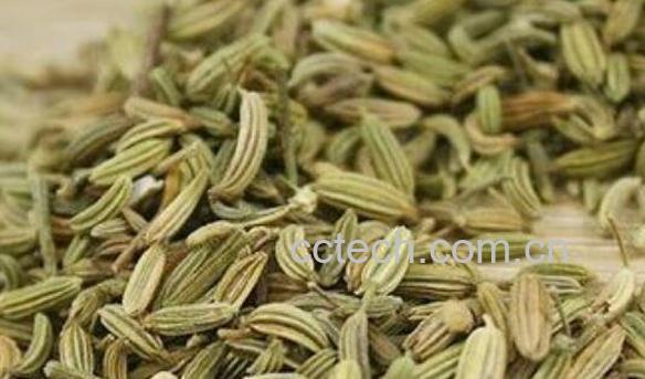 茴芹籽的功效与作用有哪些-1