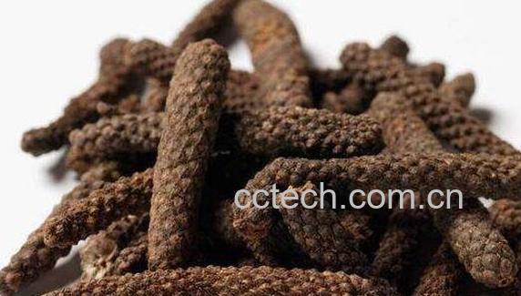 荜茇的功效与作用及药用价值-0