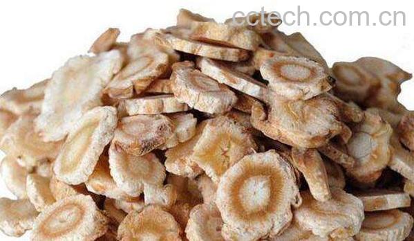 北沙参的功效与作用 北沙参的食用方法-1