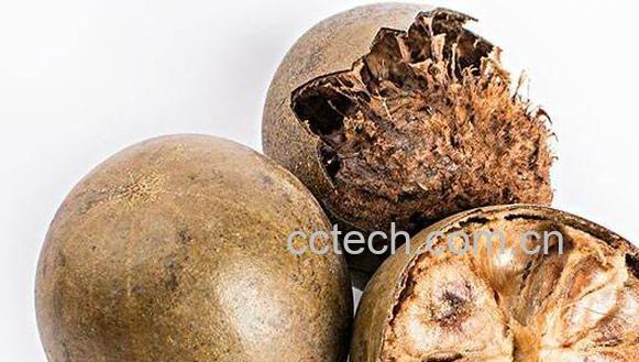 干罗汉果泡水喝的功效-1