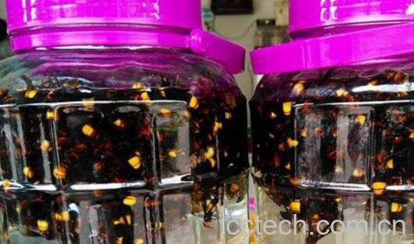 黄蜂泡酒怎么泡 黄蜂泡酒的功效-0