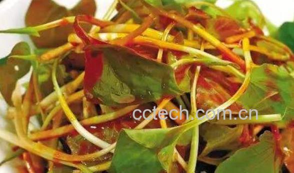 女人吃鱼腥草的好处与坏处-1