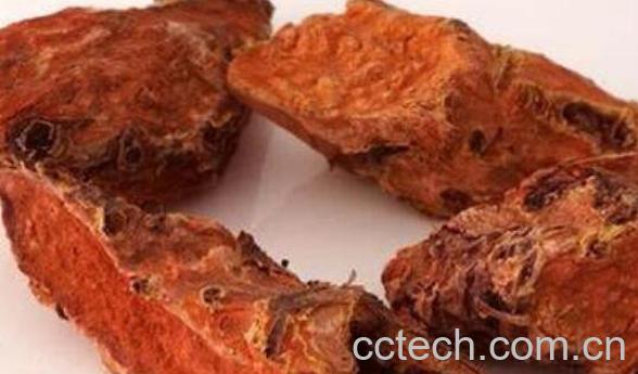 红景天泡水的功效与作用 红景天泡水的危害-0