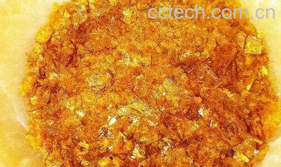 熊胆粉的功效与作用及药用价值-1