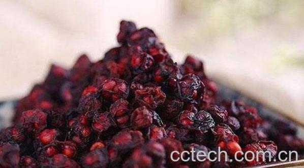 五味子泡水的功效与作用 五味子泡水喝的方法-1