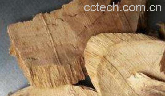 百木根的功效与作用　百木根的禁忌-0