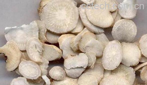 芍药根的功效与作用-0