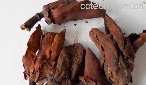 厚朴花与厚朴的区别 厚朴的功效与作用-1