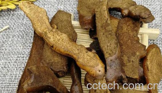 爬岩姜怎么吃 爬岩姜的食用方法-0