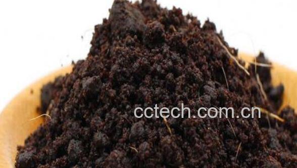 麝香灸的功效与作用-0