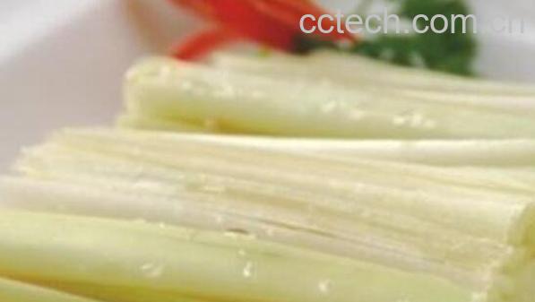 香蒲根的功效与作用 香蒲根的药用价值-1