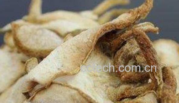 佛手柑干的功效与作用-1