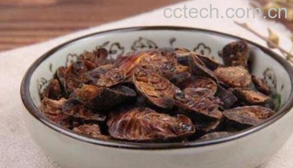 土鳖虫泡酒的功效与方法-0